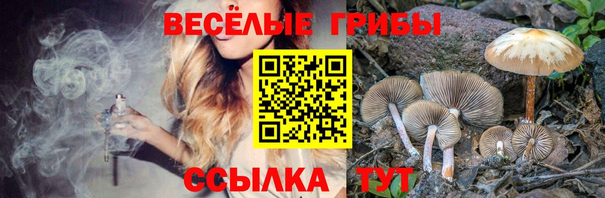 Железноводск  Конопля  NBOMe  Вход с VPN  МЕФ  